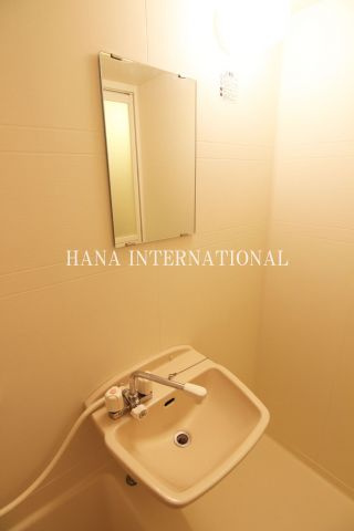 リバーサイド西水元の洗面所