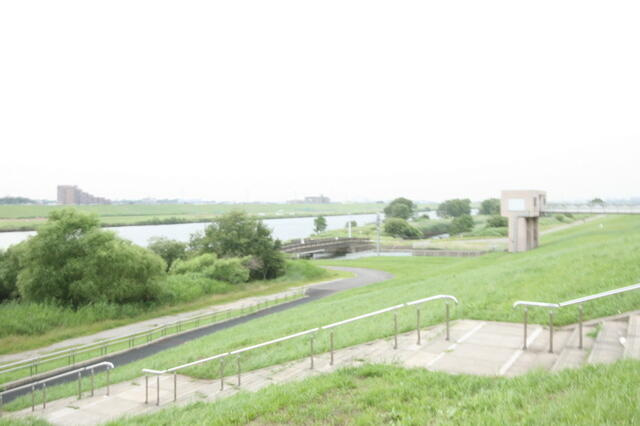 ポルタビアンカの周辺|江戸川河川敷まで100m
