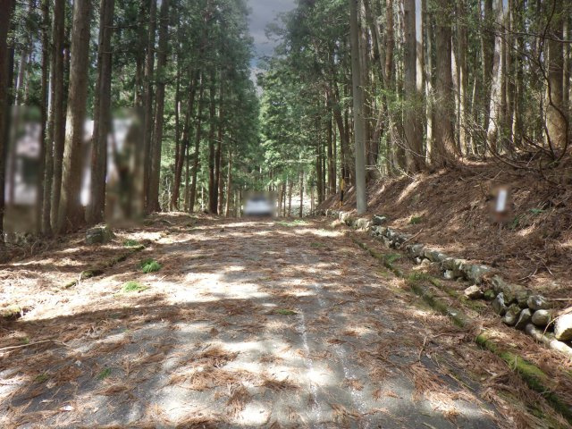 ニューパークひるが野⑬