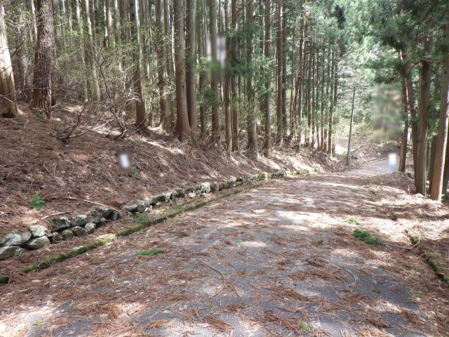 ニューパークひるが野⑬の前面道路含む現地写真