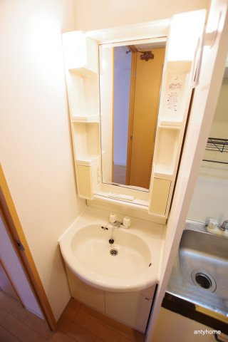 エイペックス天神橋1　仲介手数料無料の洗面所