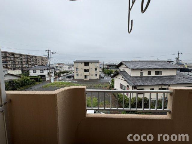 グリーンカネコ の展望
