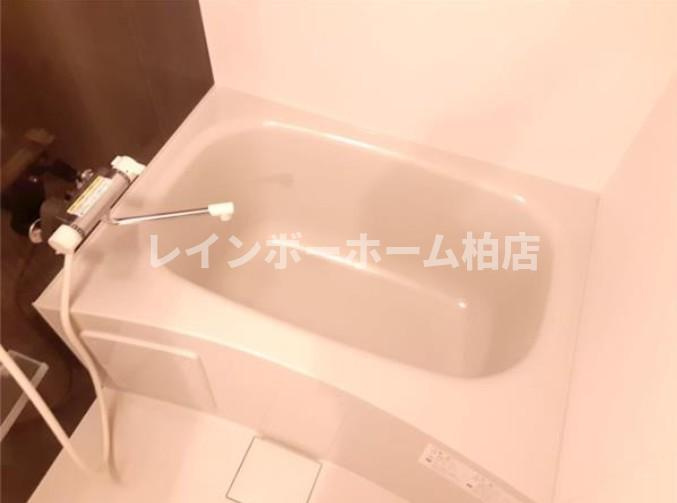 特典：仲介手数料が無料です!!の浴室|きれいなお風呂です