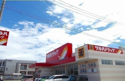 【周辺】 | ジラソーレ | ツルハドラッグ　川尻店まで400m