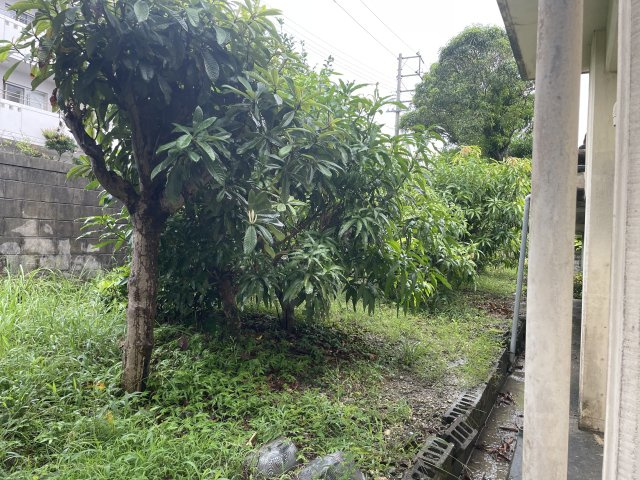 豊見城市字座安土地（分筆後）の周辺