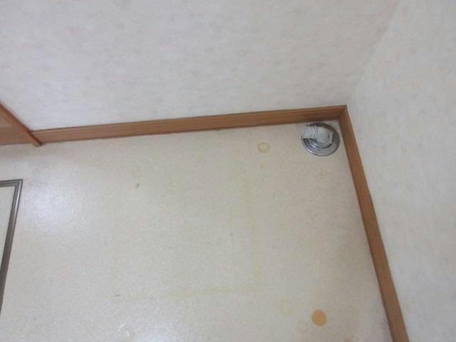 フェリーチェの内装
