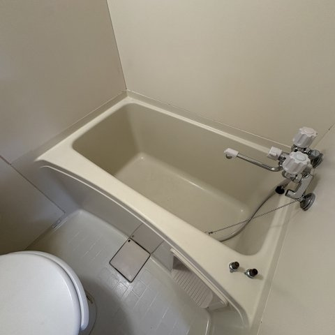 カントリーハウスの浴室