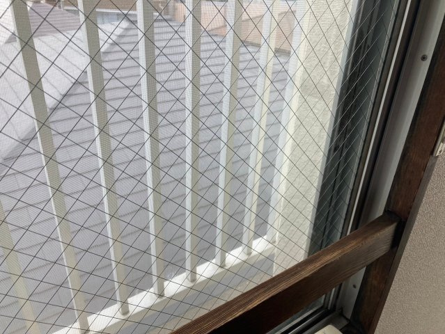 フォーサイト千早Renatusの内装