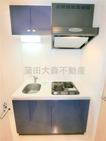 The Valesia Kamata Cityのキッチン|2口ガスシステムキッチン　