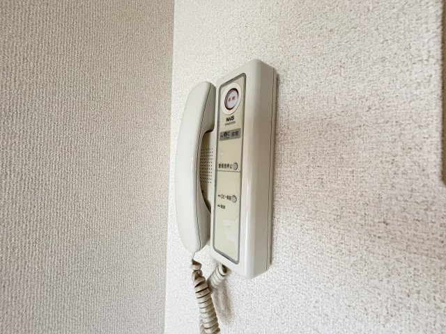アレルヤのセキュリティ