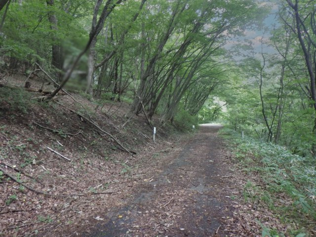 那須ハイランド⑥の前面道路含む現地写真