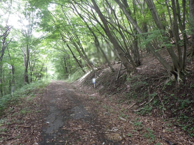 那須ハイランド⑥の前面道路含む現地写真