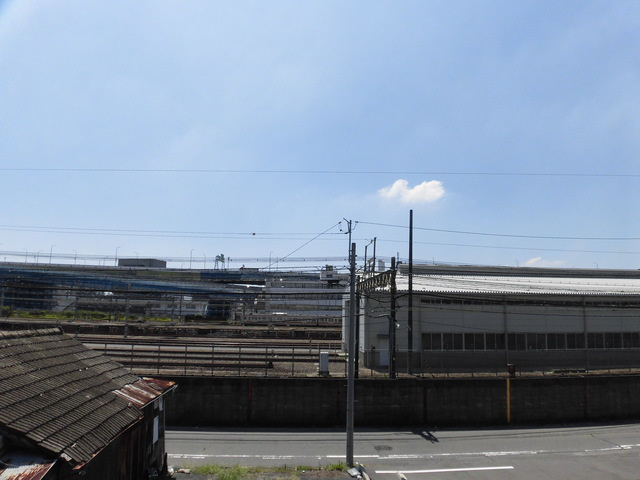 ライラックの展望
