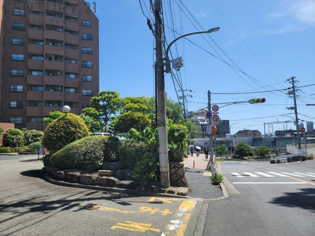 メゾン白鶴の周辺