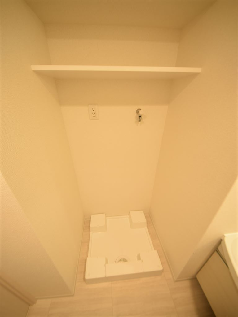 アドバンス大阪ソルテのその他|アドバンス大阪ソルテ　室内洗濯機置場