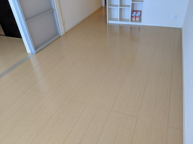 リバーヴィクトワールの内装