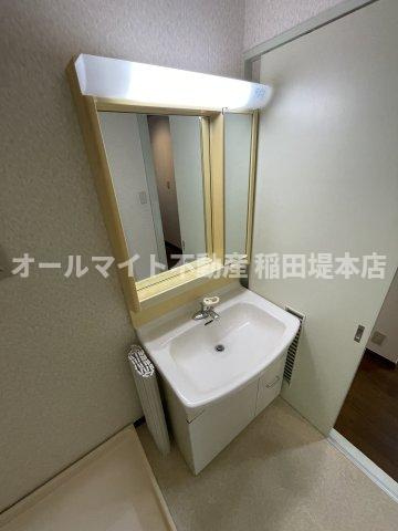 川崎市多摩区菅稲田堤１丁目の賃貸マンションの洗面所