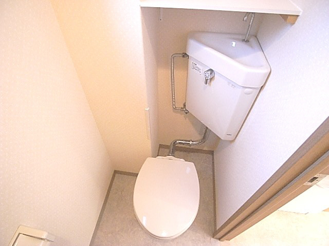 ラヴィスタ友呂岐のトイレ