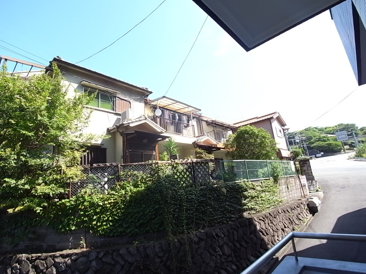 SENSE　SNTの展望