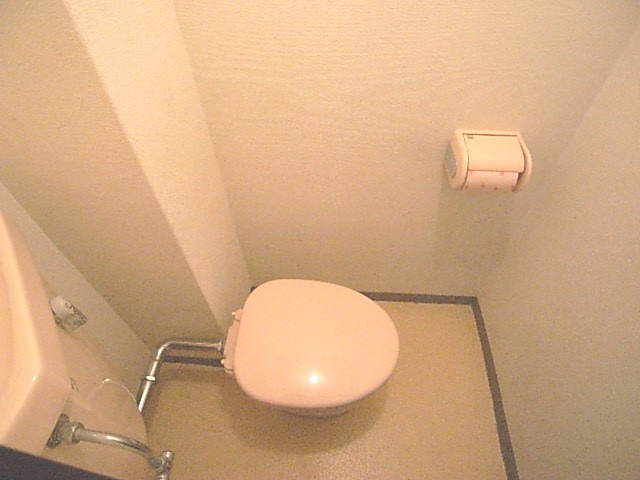 メゾンティグレのトイレ