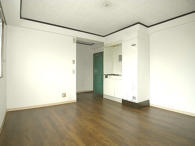 平池マンションのその他