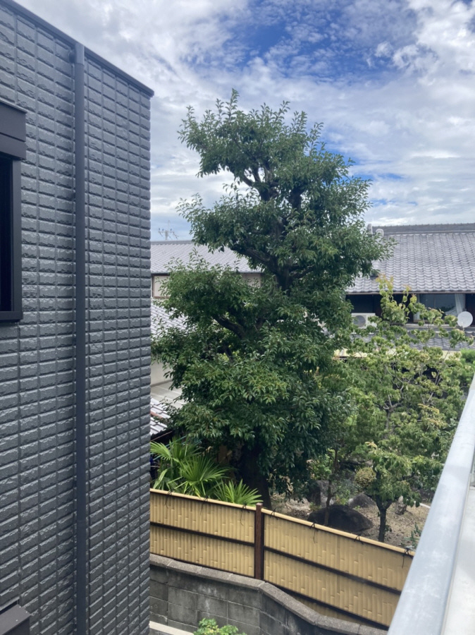 中馬ハイツの展望