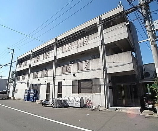 フラットカキノキ