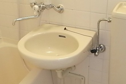 メゾンコーハツの洗面所