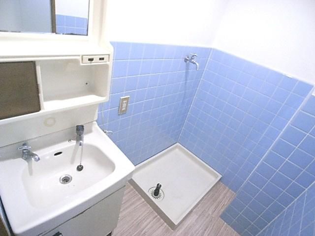 桃園マンションの洗面所
