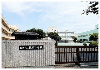 プレマ（Ｐｒｅｍａ）の周辺|根郷小学校まで750m