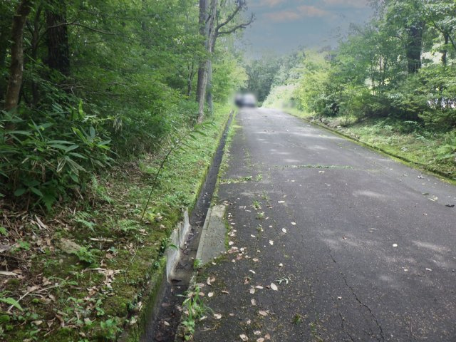 那須桜台（那須バケイションランド桜台）①の前面道路含む現地写真
