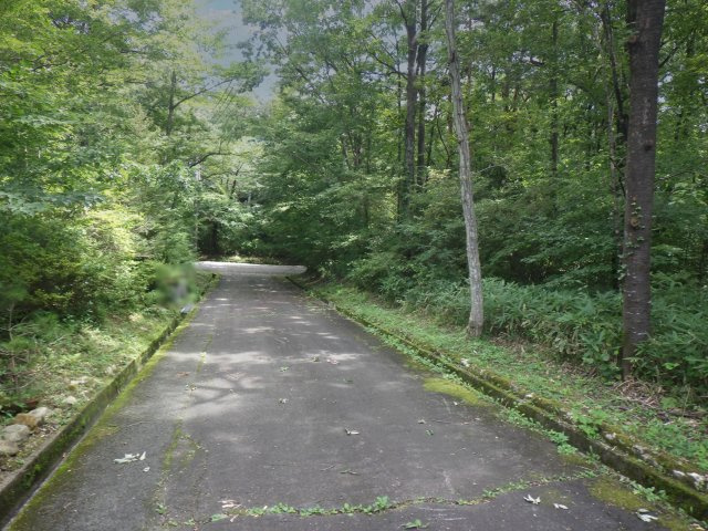 那須桜台（那須バケイションランド桜台）①の前面道路含む現地写真