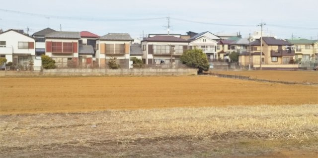 レオネクストＲＥＶＥの周辺