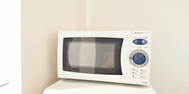 レオネクストＲＥＶＥのその他