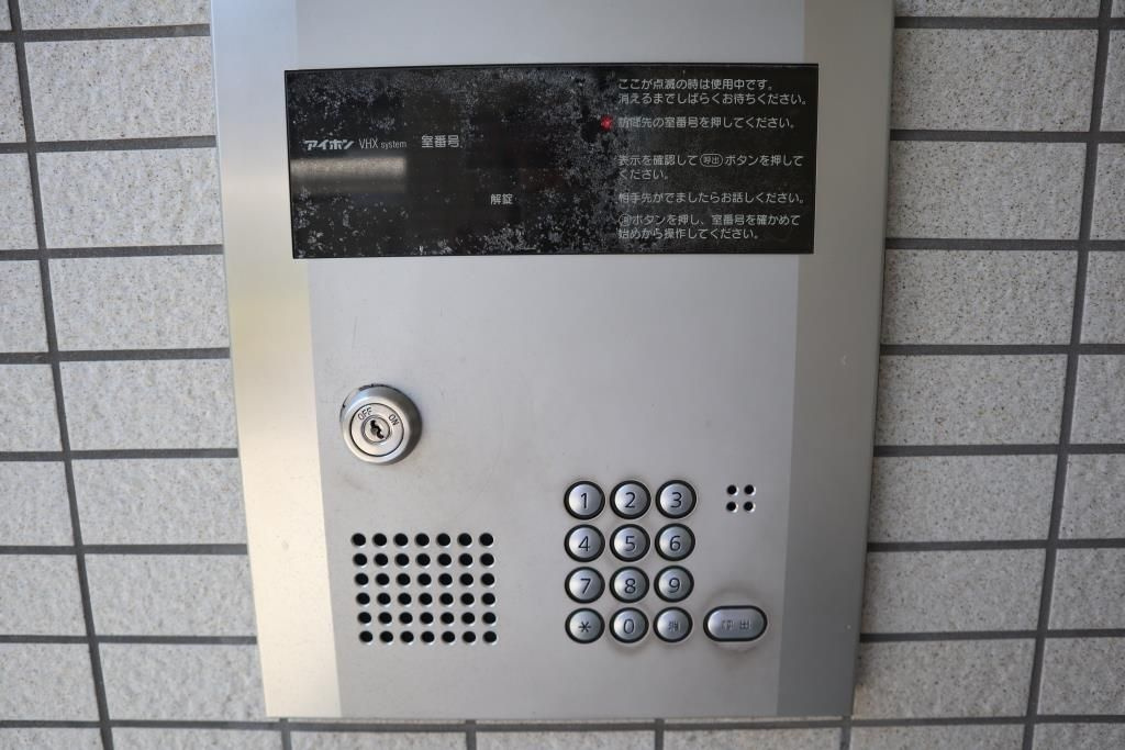 ヴェルドミールのセキュリティ