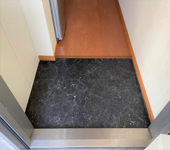 レオパレスティエラⅡの玄関