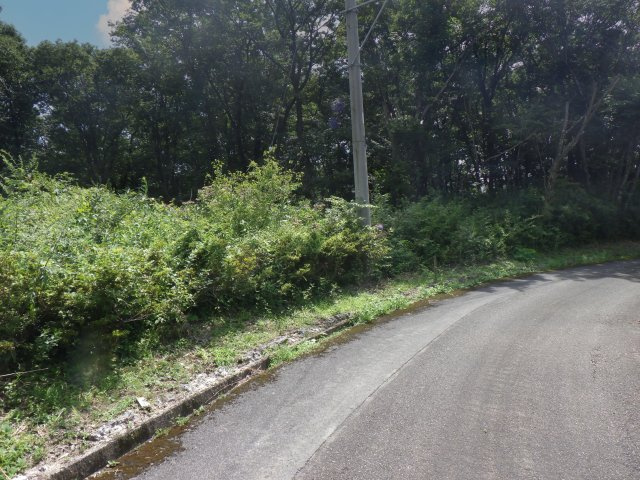 那須桜台（那須バケイションランド桜台）②の前面道路含む現地写真