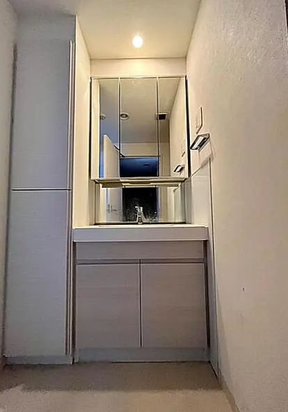AXAS墨田アジールコートの洗面所