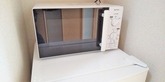レオパレスゴールデン　ゴンタのその他