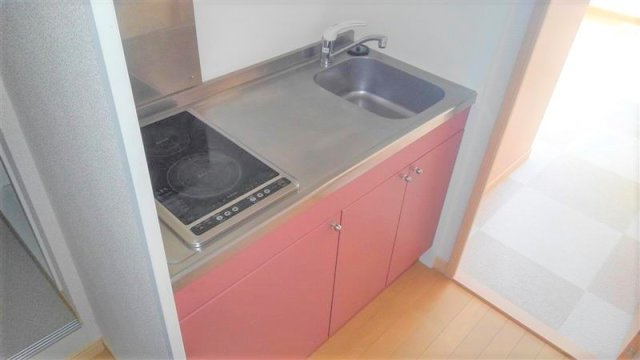 レオネクストやなぎ荘　第二のキッチン