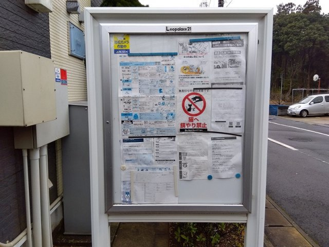レオネクストかのんＢのその他