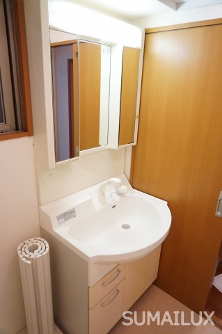 熊本市中央区南熊本５丁目の賃貸マンションの独立洗面台