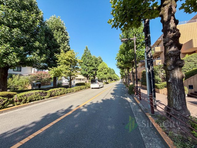 東高ペアシティ世田谷赤堤のその他|前面道路