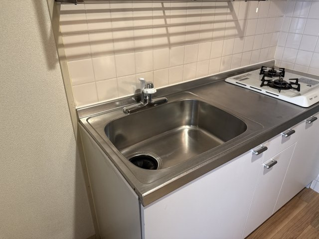 ジュネス伊伝居Ⅱの洗面所
