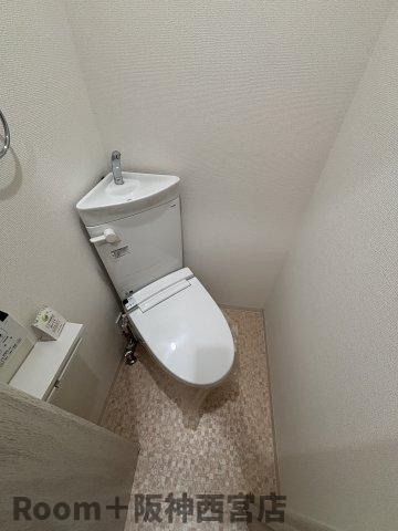 ハイツ室川のトイレ