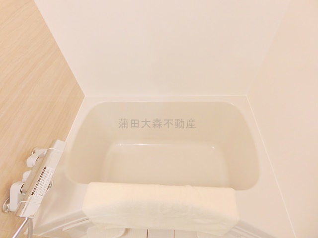address HONHANEDA(アドレスホンハネダの浴室
