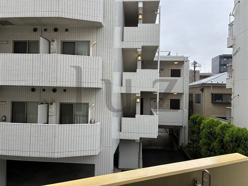 ルアン川崎の展望