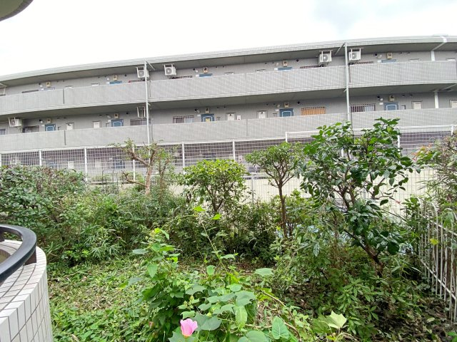 ベウラ大泉学園の庭|17.92㎡の広々とした専用庭付き。ガーデニングやDIY、お子様とのプール遊びなど戸建て感覚で多様に楽しめます。マンションにいながら緑や外の空気を身近に感じられる魅力的なプライベート空間です。