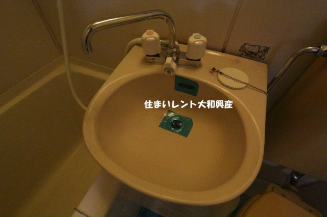 セブアイランズマンションの洗面所