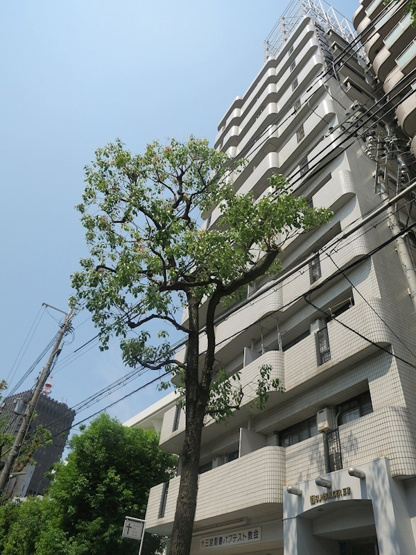 【外観パース】